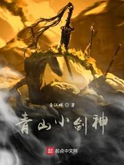 青山小剑神封面