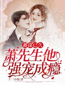蓄谋已久，萧先生他强宠成瘾封面