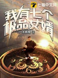 我有七个极品女婿封面