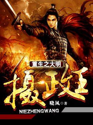 重生之大明摄政王封面