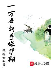 一万年新手保护期封面