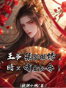王爷桀骜撒娇,暗卫嗜宠如命!封面