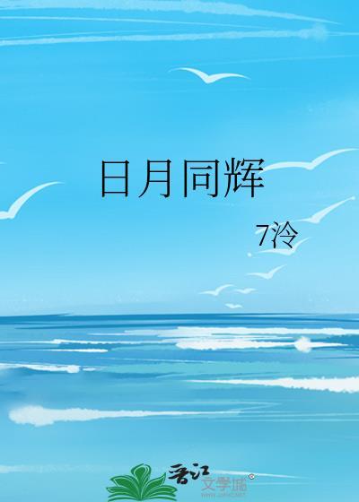 日月同辉封面