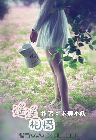 遥遥相惜封面