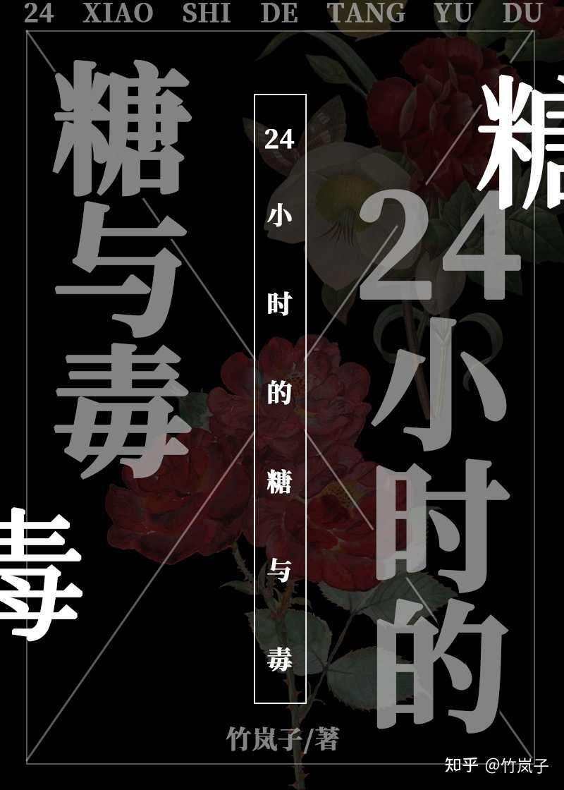 24小时的糖与毒封面