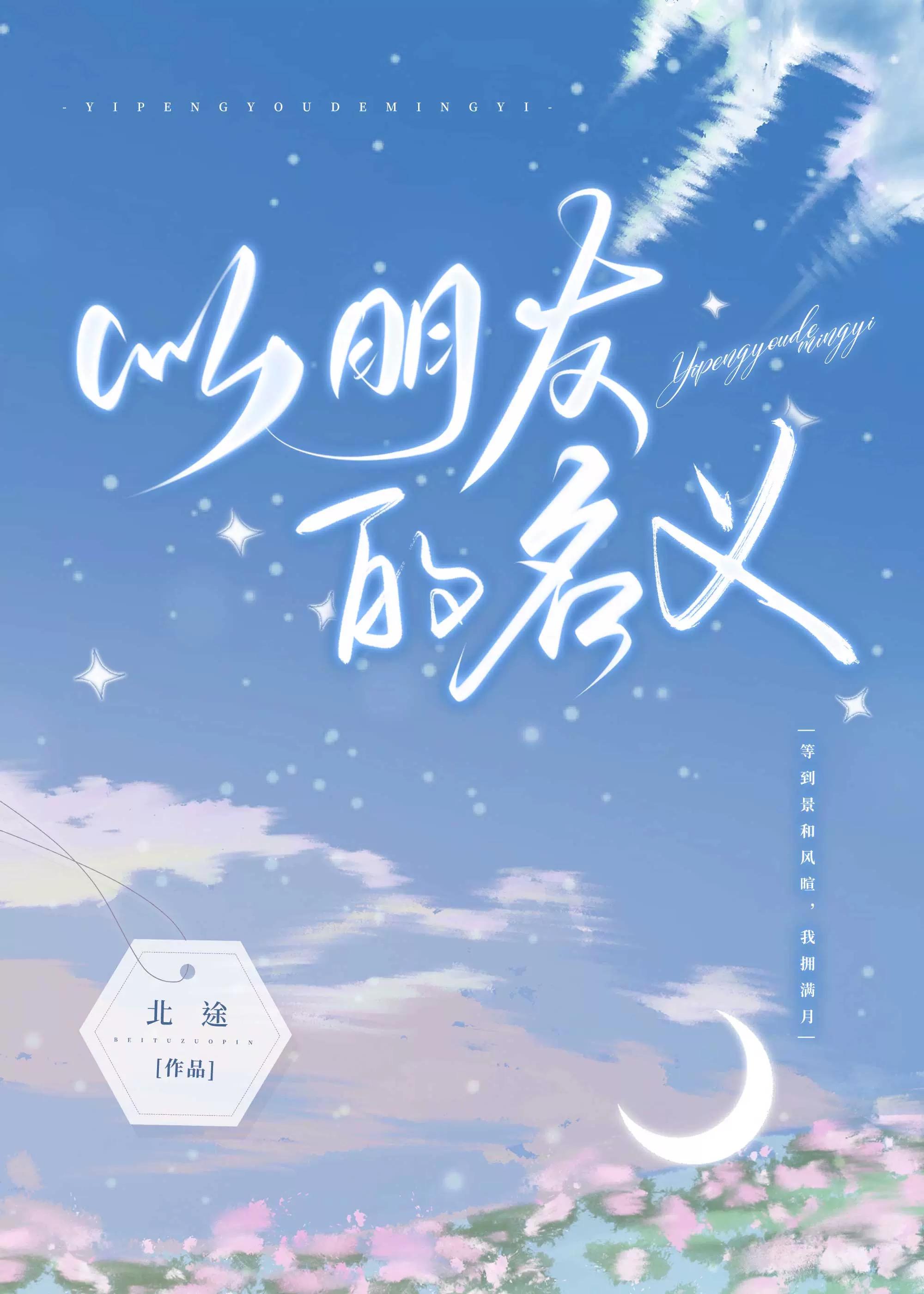 以朋友的名义封面