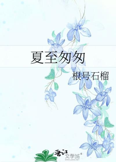 夏至匆匆封面
