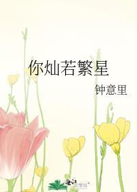 你灿若繁星封面