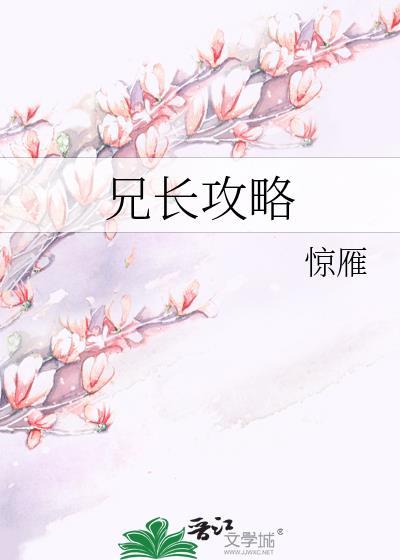 兄长攻略封面