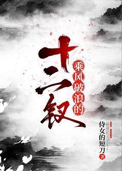 乘风破浪十二钗封面