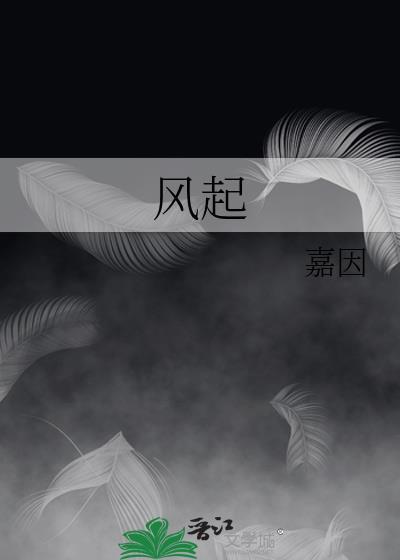 风起封面