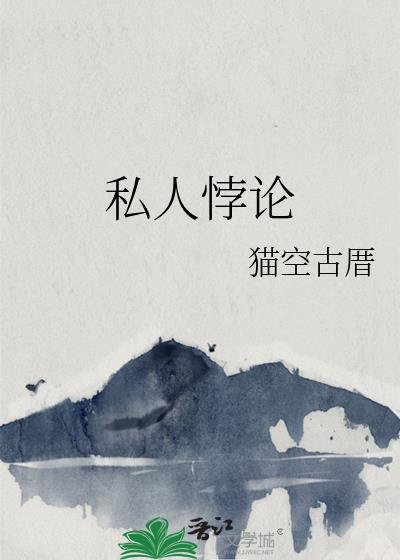 私人悖论封面