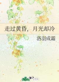 走过黄昏，月光却冷封面