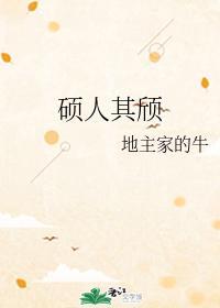 硕人其颀封面