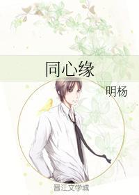 同心缘封面