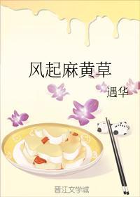 风起麻黄草封面