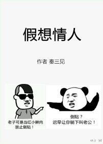 假想情人封面