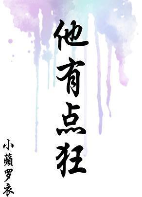 他有点狂封面