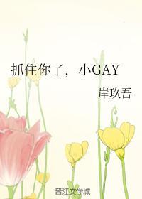 抓住你了，小GAY封面
