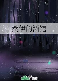 桑伊的酒馆封面