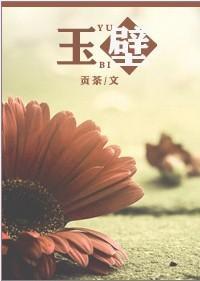 玉壁封面