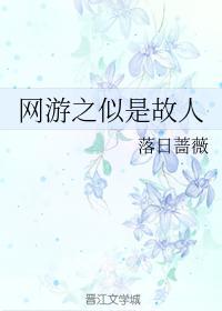 网游之似是故人封面