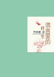 谎言裏的往生封面