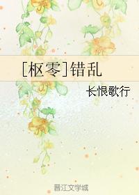 [枢零]错乱封面