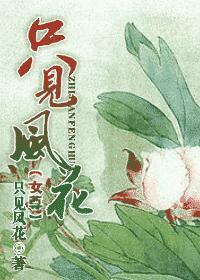 只见风花(女尊)封面