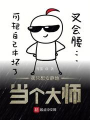 我只想安静地当个大师封面