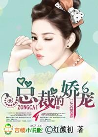 总裁的娇宠封面