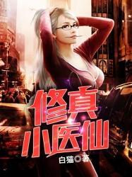 修真小医仙封面