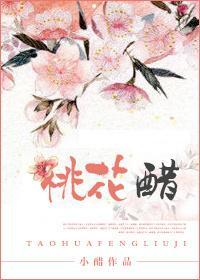 桃花醋封面