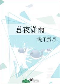 暮夜潇雨封面