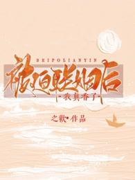 被迫联姻后我真香了封面