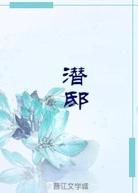 潜邸封面