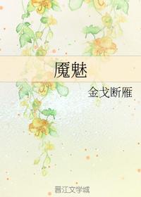 魇魅封面