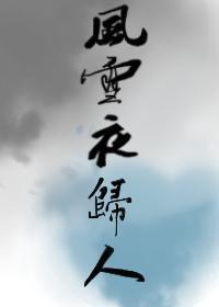 风雪夜归人封面