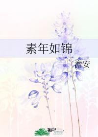 素年如锦封面