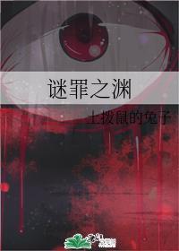 谜罪之渊封面