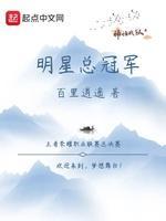明星总冠军封面