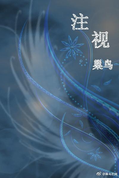 註视封面