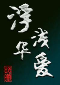浮华浅爱封面
