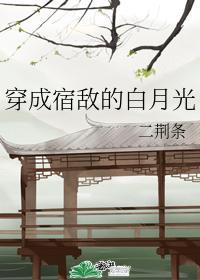穿成宿敌的白月光封面