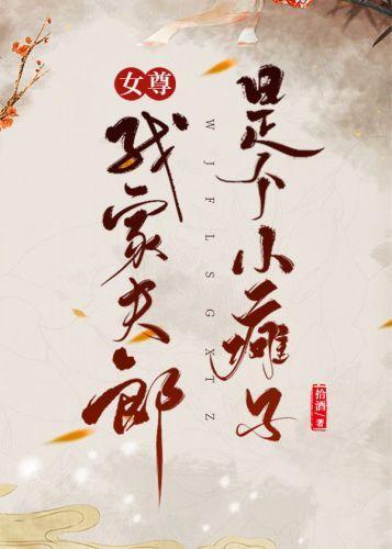 我家夫郎是个小瘫子（女尊）封面