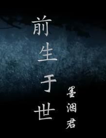 前生于世封面