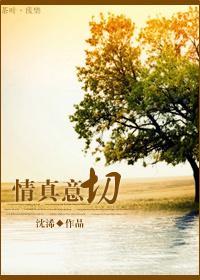 情真意切封面