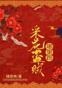 采花盗贼,哪里跑!封面
