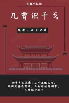 几曾识干戈封面