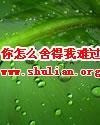 你怎么舍得我难过封面